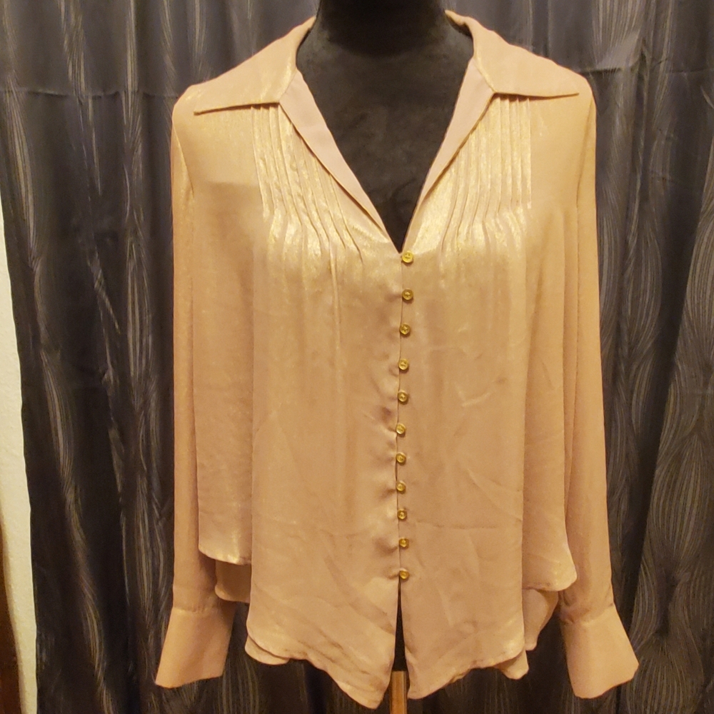 Dark Nude Shimmer Blouse